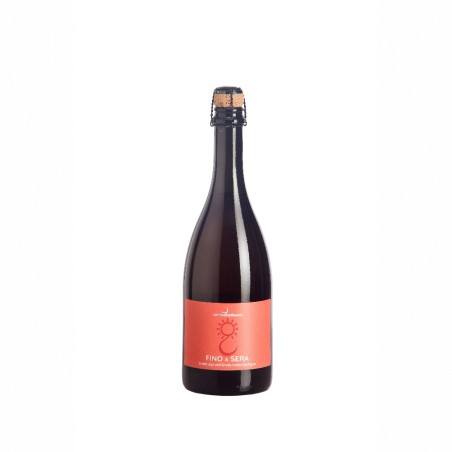 vino rosso emiliano fino a sera lambrusco emiliano vino italiano