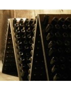 Spumante Emilia Romagna - Le migliori selezioni di vino spumante