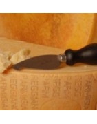 Parmigiano reggiano PDO - Parmigiano reggiano cheese from italian shop